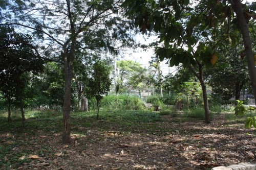Área onde ficará o “Cachorródromo” foi denominada e é uma solicitação antiga dos frequentadores do parque