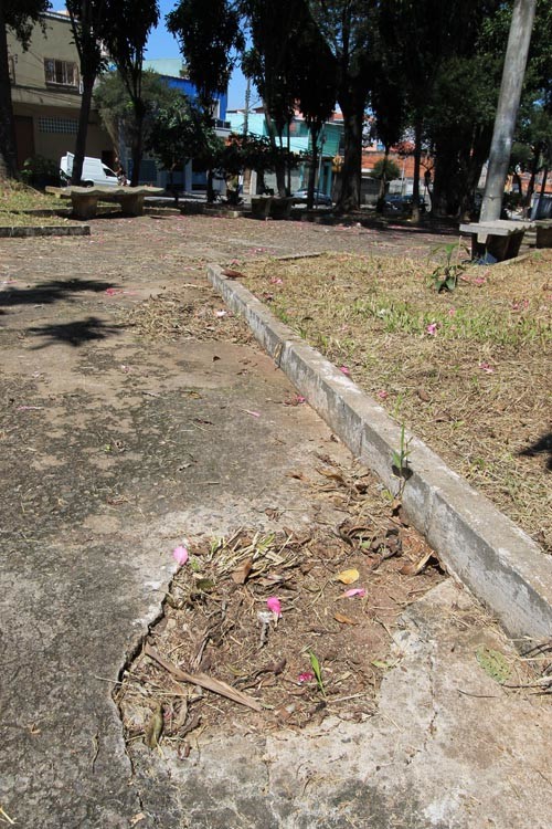 Praça Antonio Marques Novo precisa de poda de mato e limpeza urgente