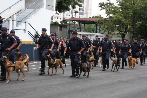 Os cães da GCM também participaram do desfile e da cerimônia no Belenzinho