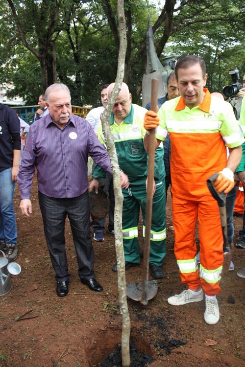 Doria, Paiva e Criscuolo durante plantio de Pau Brasil