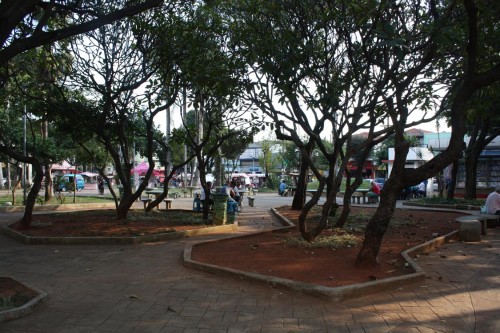 Com o paisagismo os canteiros da Silvio Romero poderiam ganhar mais folhagens e grama